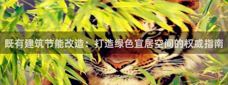 e尊平台：既有建筑节能改造：打造绿色宜居空间的权威指南
