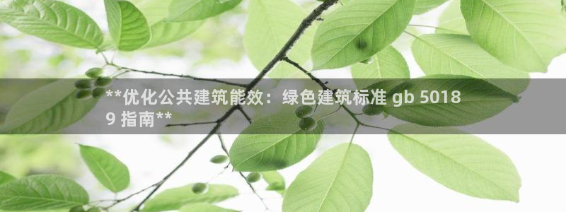 e尊国际的手机登录网站：**优化公共建筑能效：绿色建筑标准 gb 5018
9 指南**