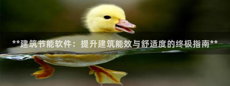 e尊平台：**建筑节能软件：提升建筑能效与舒适度的终极指南**