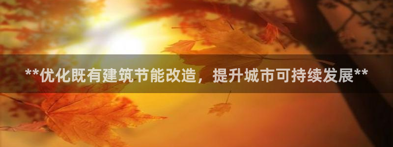 e尊国际官方网站：**优化既有建筑节能改造，提升城市可持续发展**