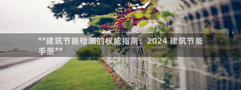 e尊国际官网：**建筑节能检测的权威指南：2024 建筑节能
手册**