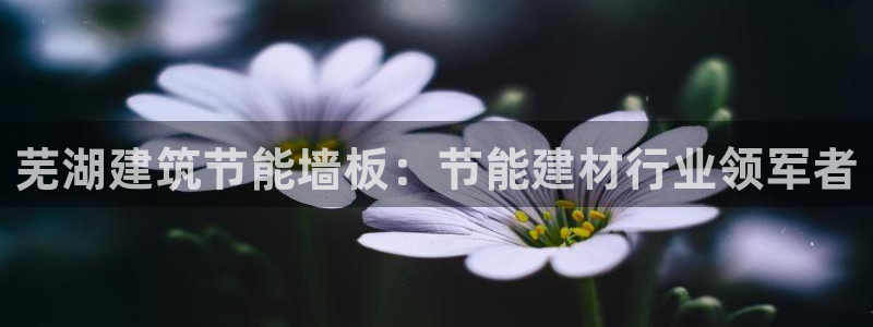e尊国际-可可计划：芜湖建筑节能墙板：节能建材行业领军者
