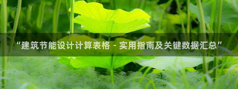 e尊国际官网·网址：“建筑节能设计计算表格 - 实用指南及关键数据汇总”