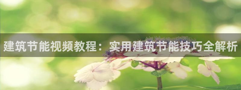 e尊电竞：建筑节能视频教程：实用建筑节能技巧全解析