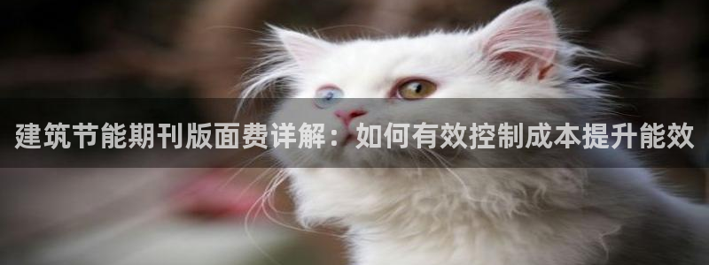 e尊国际-e尊国际官网：建筑节能期刊版面费详解：如何有效控制成本提升能效