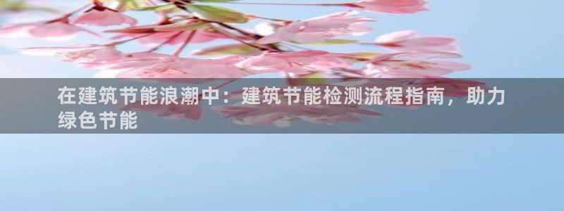 e尊国际平台：在建筑节能浪潮中：建筑节能检测流程指南，助力
绿色节能