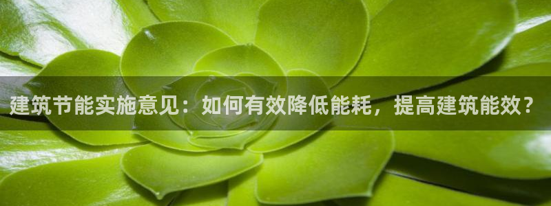 e尊国际娱乐官网下载：建筑节能实施意见：如何有效降低能耗，提高建筑能效？
