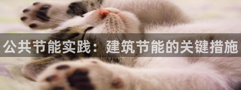 尊亿娱乐国际官网：公共节能实践：建筑节能的关键措施