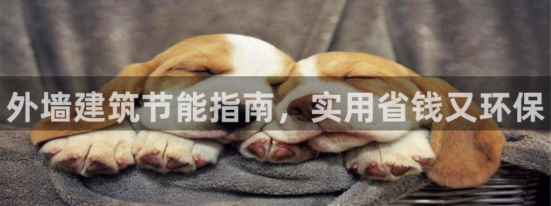 e尊国际平台：外墙建筑节能指南，实用省钱又环保