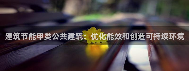 e尊国际app：建筑节能甲类公共建筑：优化能效和创造可持续环境