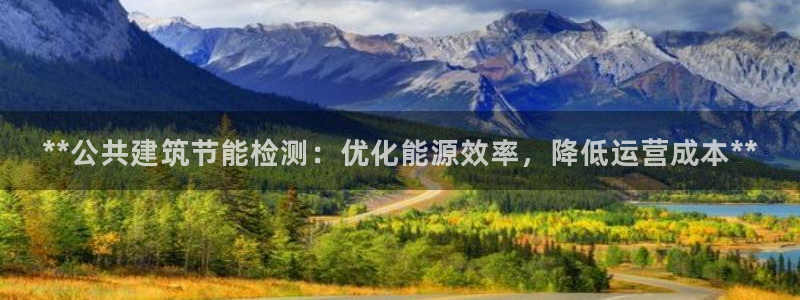 e尊国际可靠吗：**公共建筑节能检测：优化能源效率，降低运营成本**