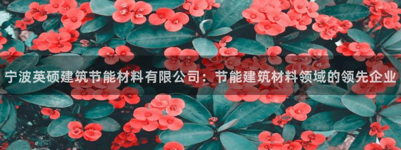 e尊国际官网app：宁波英硕建筑节能材料有限公司：节能建筑材料领域的领先企业