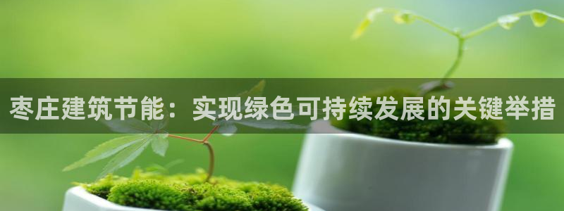 e尊国际官网·网址：枣庄建筑节能：实现绿色可持续发展的关键举措