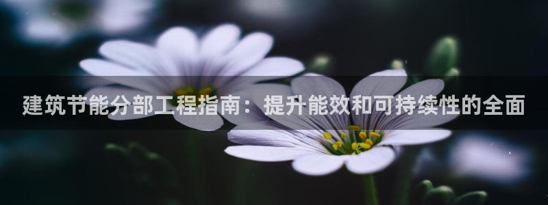 e尊电竞：建筑节能分部工程指南：提升能效和可持续性的全面
