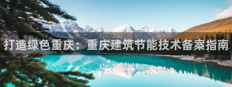 e尊国际app：打造绿色重庆：重庆建筑节能技术备案指南