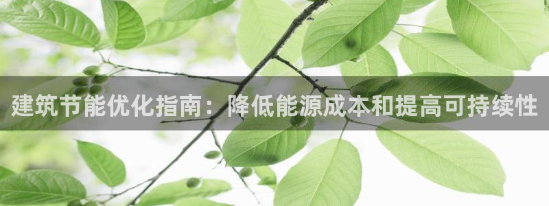 E尊国际：建筑节能优化指南：降低能源成本和提高可持续性