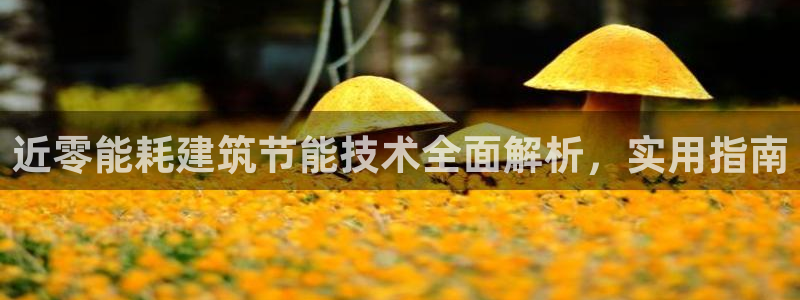 e尊国际客服：近零能耗建筑节能技术全面解析，实用指南