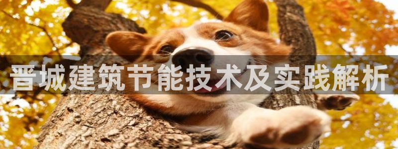 e尊体育：晋城建筑节能技术及实践解析