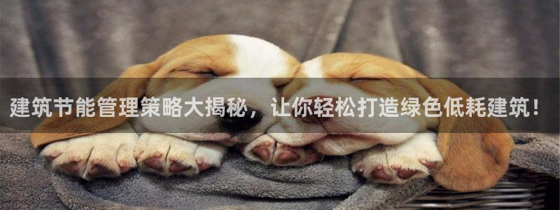 尊亿娱乐国际官网：建筑节能管理策略大揭秘，让你轻松打造绿色低耗建筑！