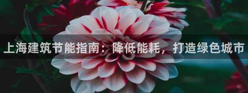 e尊国际娱乐官网下载：上海建筑节能指南：降低能耗，打造绿色城市