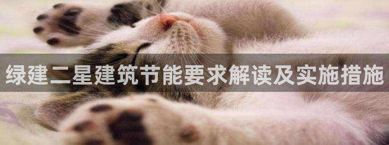 e尊国际官网·网址