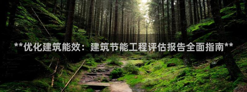 e尊国际官网·网址：**优化建筑能效：建筑节能工程评估报告全面指南**