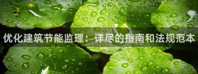 e尊国际官方网站：优化建筑节能监理：详尽的指南和法规范本