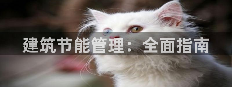 e尊国际7779：建筑节能管理：全面指南