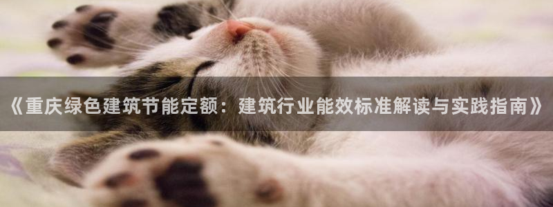 e尊国际官网app：《重庆绿色建筑节能定额：建筑行业能效标准解读与实践指南》