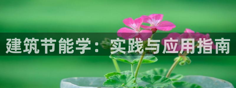 e尊国际的手机登录网站：建筑节能学：实践与应用指南