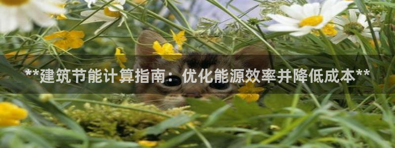 e尊平台：**建筑节能计算指南：优化能源效率并降低成本**