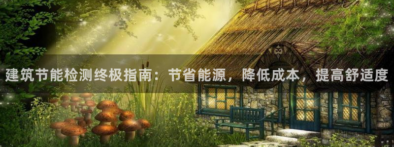 E尊国际网站：建筑节能检测终极指南：节省能源，降低成本，提高舒适度