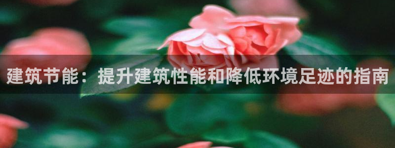 e尊国际平台：建筑节能：提升建筑性能和降低环境足迹的指南