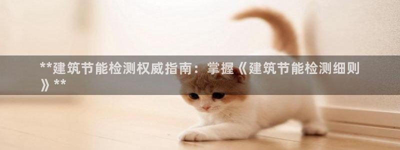 谁知道e尊国际的网址：**建筑节能检测权威指南：掌握《建筑节能检测细则
》**