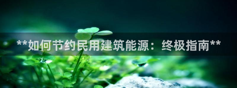 谁知道e尊国际的网址：**如何节约民用建筑能源：终极指南**