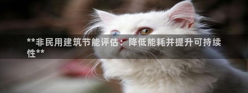 e尊国际app：**非民用建筑节能评估：降低能耗并提升可持续
性**