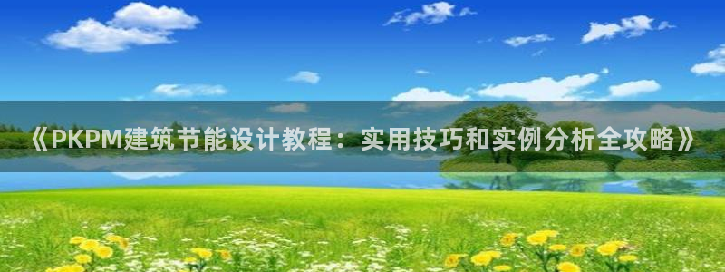 e尊国际是干什么的：《PKPM建筑节能设计教程：实用技巧和实例分析全攻略》
