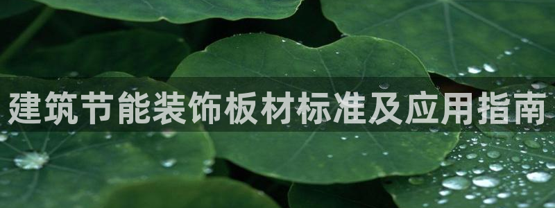 e尊国际平台