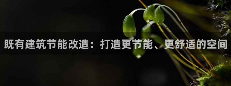 e尊国际客户端下载：既有建筑节能改造：打造更节能、更舒适的空间