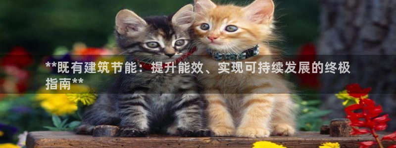 e尊国际客户端下载：**既有建筑节能：提升能效、实现可持续发展的终极
指南**